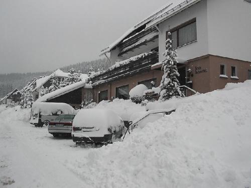 Haus Hubertus Hotell Winterberg Exteriör bild