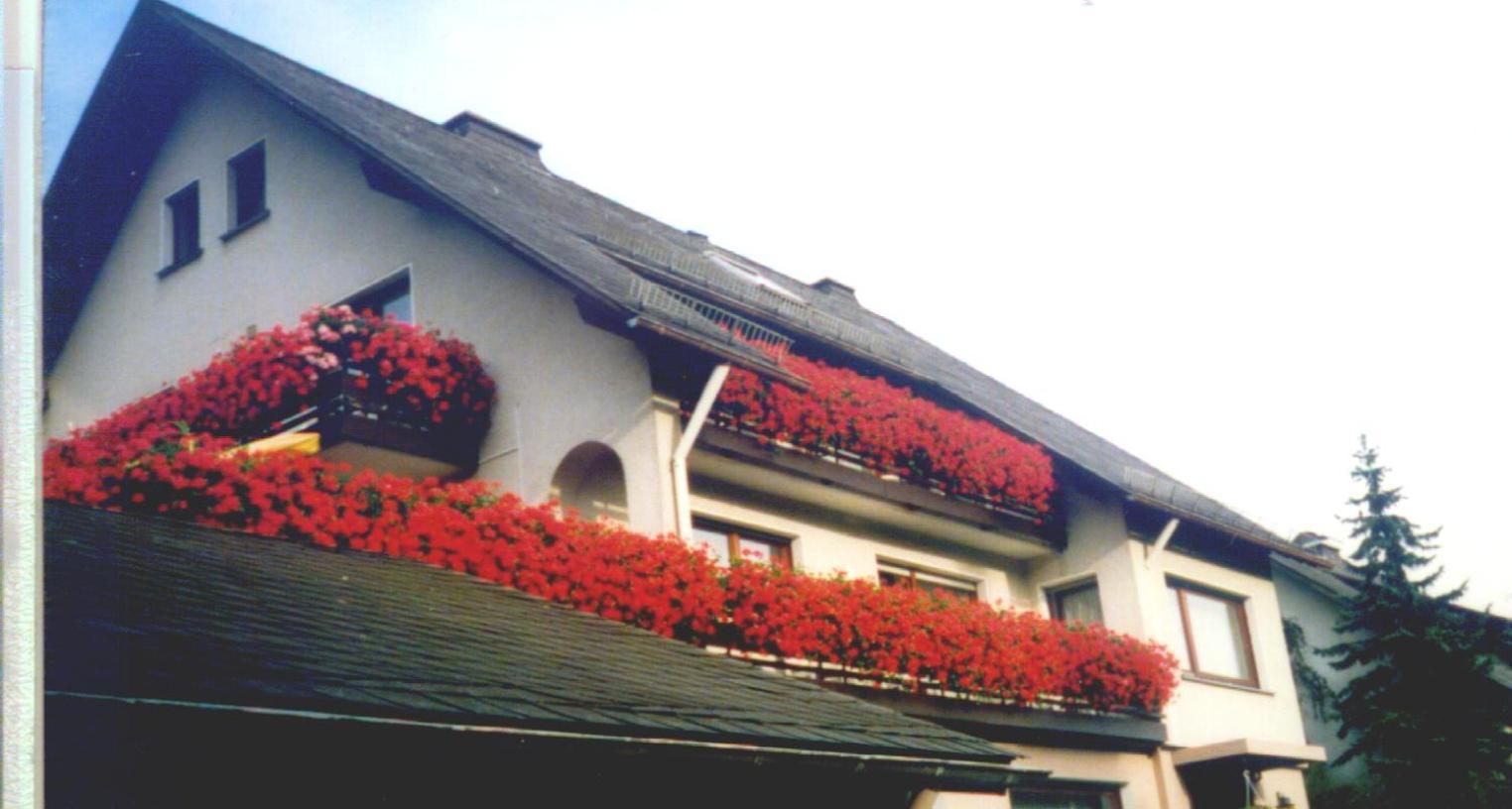 Haus Hubertus Hotell Winterberg Exteriör bild